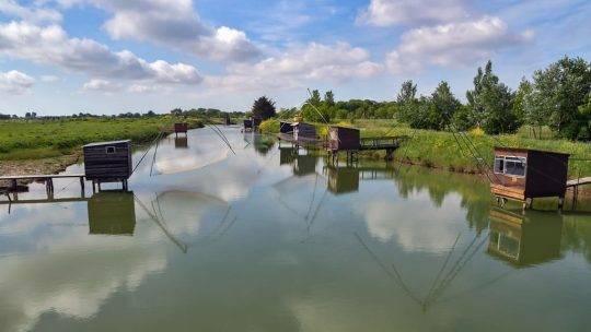 Séjour zen : comment un camping en Loire-Atlantique peut vous déconnecter du monde !