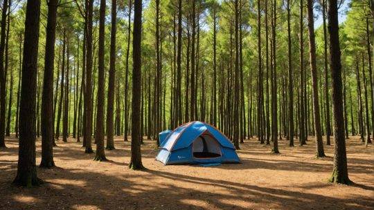 Découvrez les meilleurs emplacements de camping en vendée